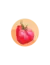 TOMATE CRIOLLO Corazón de Buey