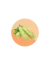 ZUCCHINI Grey
