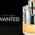 Wanted Azzaro Eau de Toilette na internet