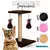 Arranhador Duplo Para Gatos - LaLaPet - comprar online