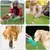 Garrafa Bebedouro Comedouro para Pets - LAPET na internet
