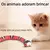 Cobra Elétrica Para Gatos Brinquedo C/ Sensor Inteligente - comprar online
