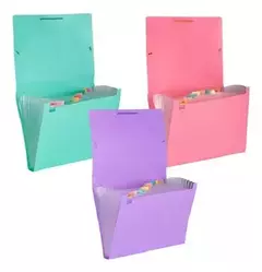 Carpeta clasificadora A5 LAMA