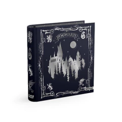 Carpeta N3 HARRY POTTER - tienda online
