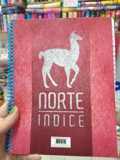 Indice norte
