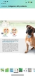 Valla inalámbrica para perros, sistema de contención mejorado para mascotas, rango de control ajustable de 2000 pies - AnnyVende