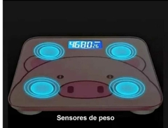 BASCULA DIGITAL CERDITO RECARGABLE en internet