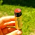 Hidratante Labial - Vermelho Rubi na internet