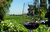 Concha Y toro Clássico - comprar online