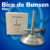 Bico de Bunsen | Mac
