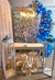 CANDY BAR - Abrillar eventos