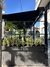 Obra Culto Café - Urquiza - tienda online