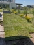 Obra Barrio La Alameda - Canning en internet