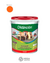 LATEX LAVABLE LINEA GOLD INT/EXT X 1 LITRO NARANJA - comprar online