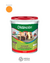 LATEX LAVABLE LINEA GOLD INT/EXT X 10 LITROS GUARANA - comprar online