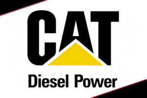 Marca 15 de GNB Serviços Automotivos