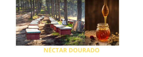 Nectar Dourado