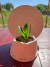 Bandeja Flor de Loto + Planta + Base Redonda