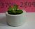 Maceta con planta 2 - comprar online