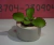 Maceta con planta 2 - Lulu Creaciones