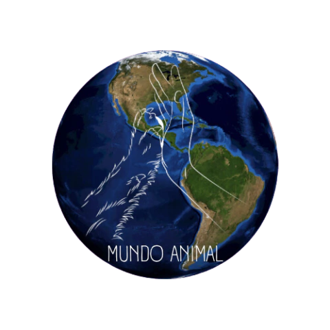 Mundo Animal
