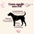 Minissaia POP - comprar online