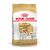 ROYAL CANIN JACK RUSSELL ADULT X 1 KG - comprar online