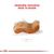 Alimento Royal Canin Boxer 26 Adulto - 12 Kg - Woofy