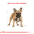 Imagen de Royal Canin Bulldog Frances Adulto X -- Kg