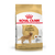 Royal Canin Golden Adulto X 12 Kg - comprar online