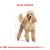 Royal Canin Caniche Adulto X 7.5 Kg