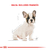 Royal Canin Bulldog Frances Cachorro X 3 Kg