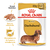 Royal Canin Dachshund Adulto X 3 Kg