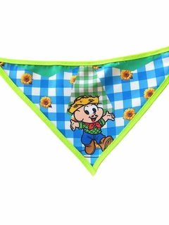 20 Badanas M Festa Junina Estampas Sortidas - Mundo Pet Adesivos