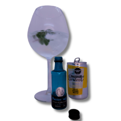 COMBO EGOÍSTA TONIC ~ Gin 50ml + Tonica - comprar online
