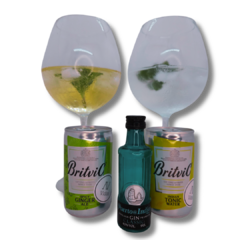 COMBO EGOÍSTA TONIC ~ Gin 50ml + Tonica en internet