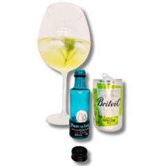 COMBO EGOÍSTA GINGER ~ Gin 50ml + Tonica en internet