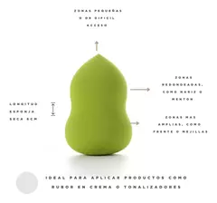 Esponja Blender REGINA - comprar online