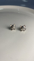 Arete tigre