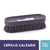 CEPILLO CALZADO LA GAUCHITA
