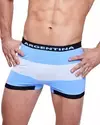 Boxer Seamless Argentina Art 4646