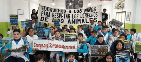 Carrusel Activistas Animalistas de la Costa