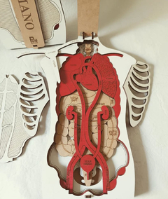 Cuerpo Humano 3D - Mil Hojas Juegos