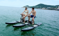WATER BIKE DOBLE