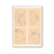 Dibujos corridos - comprar online