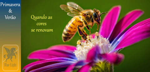 Imagem do banner rotativo Blue Light