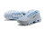 Air Max TN Plus "Blue Fury" na internet