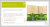 Dulri Stevia Endulzante Natural x50Sobres