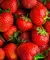 El Brocal Mermelada de Frutilla x420gr en internet