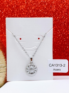 CA1313-2